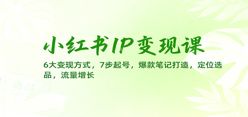 小红书IP变现课：6大变现方式，7步起号，爆款笔记打造，定位选品，流量增长-好学创业资源